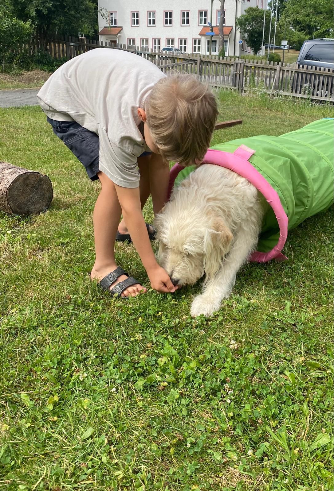 Der Hundekurs für Kinder