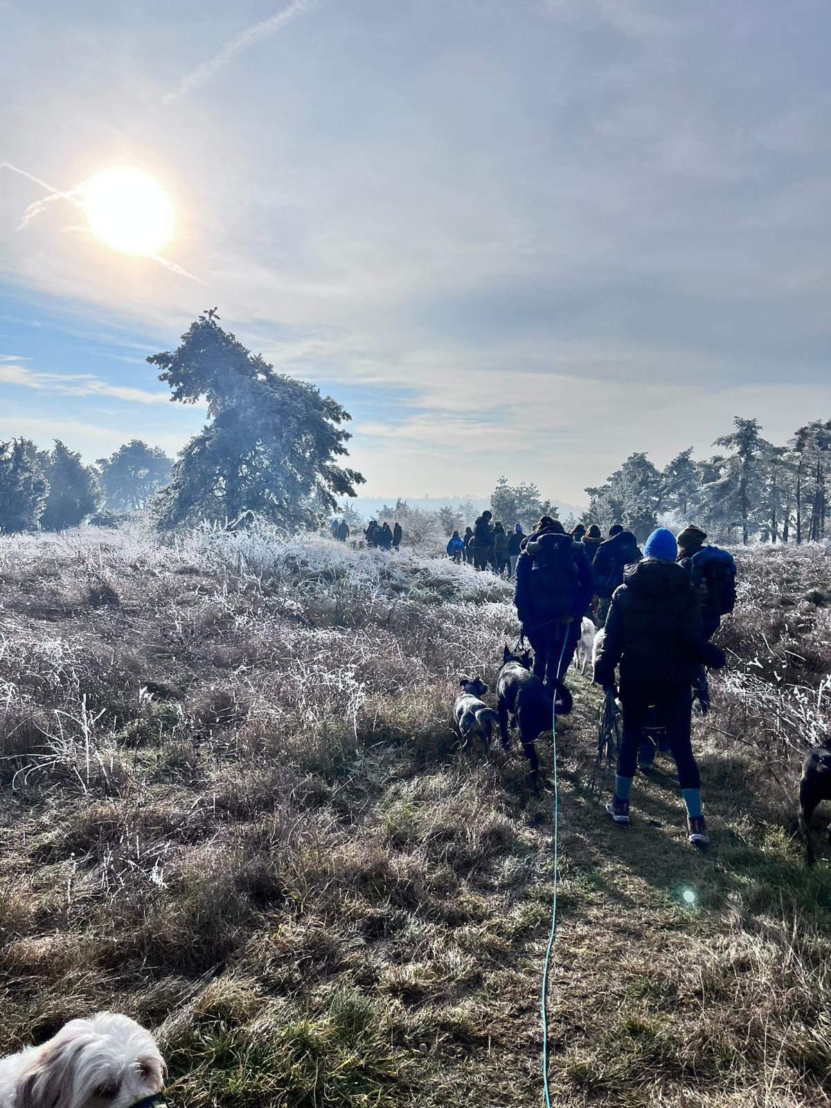 Neujahrswanderung: Kasinger Wachholderheide und Wunschbuche