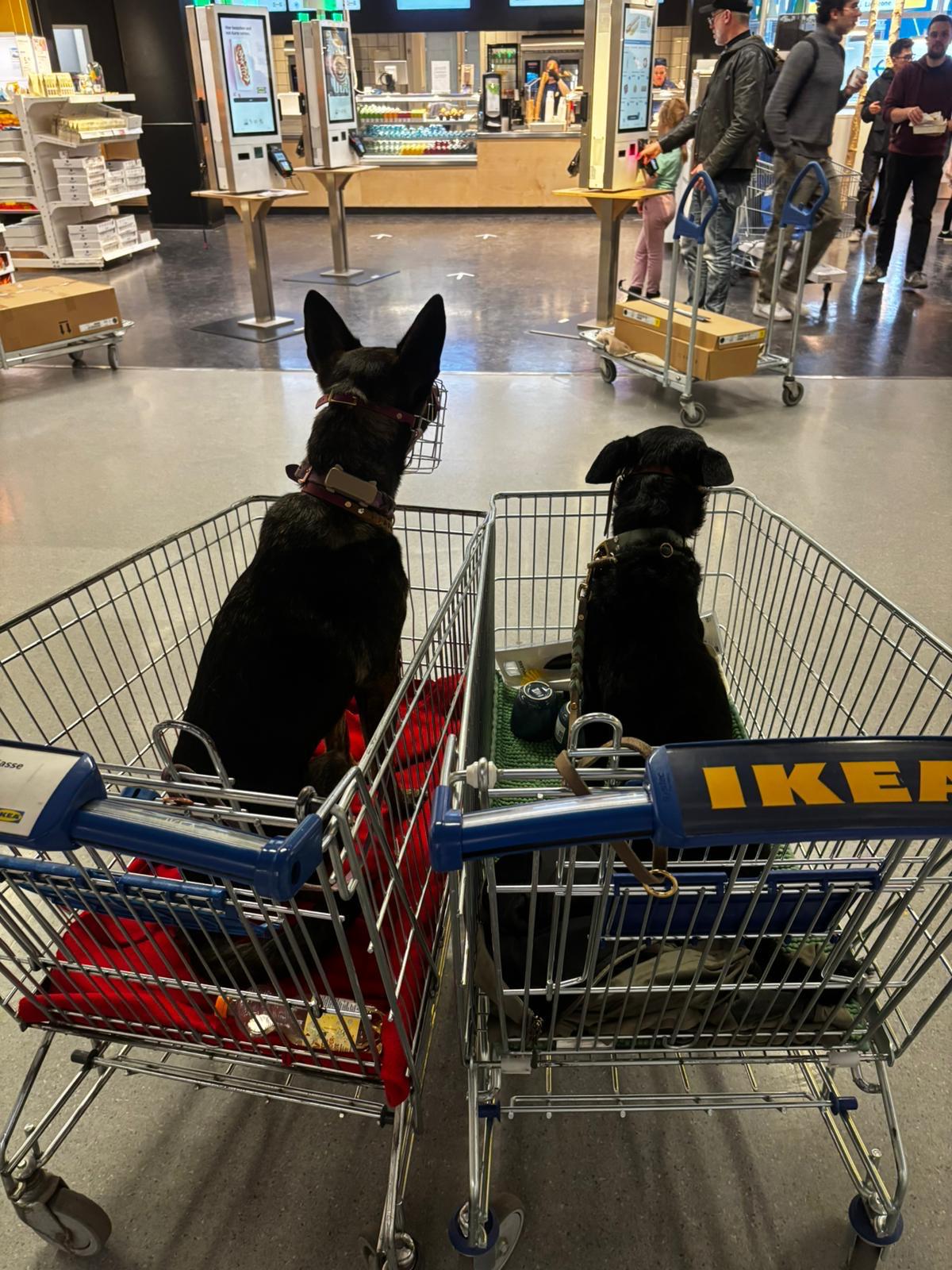 Alltagstraining: IKEA Besuch